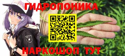 хмурый Будённовск