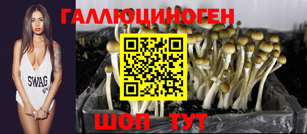 Псилоцибиновые грибы прущие грибы Мценск