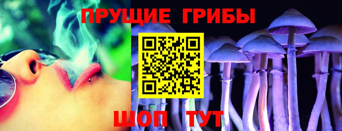 Галлюциногенные грибы прущие грибы  Вход с VPN  Мценск 
